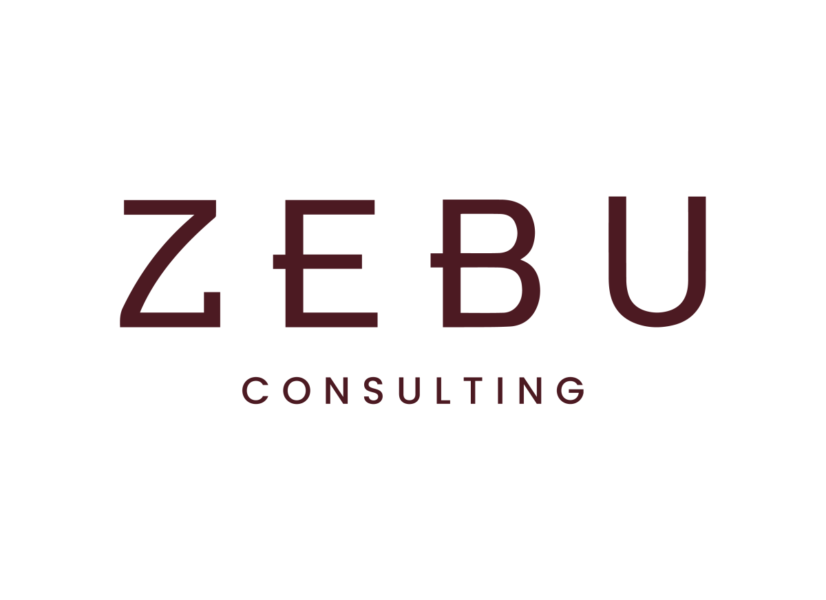 ZEBU Consulting